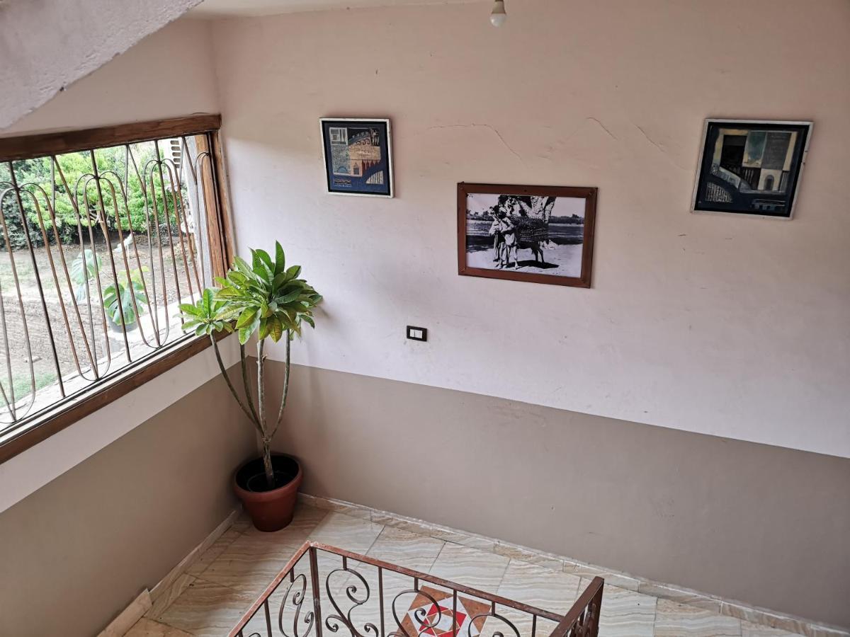 Bella Vista And Apartament Luxor
